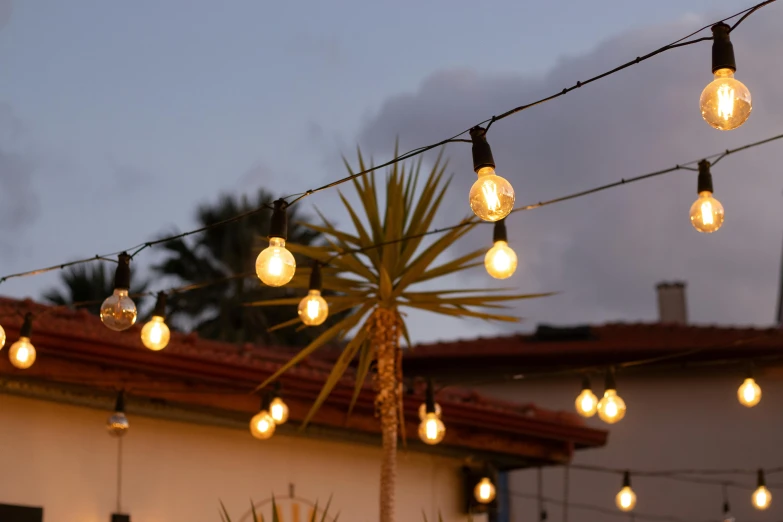 several lights hang from a wire next to a tree