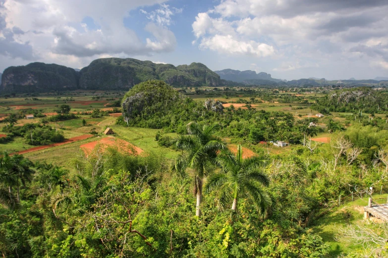 a large area with mountains and trees in the background