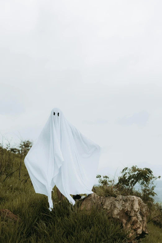 a ghost like object that is floating on some grass