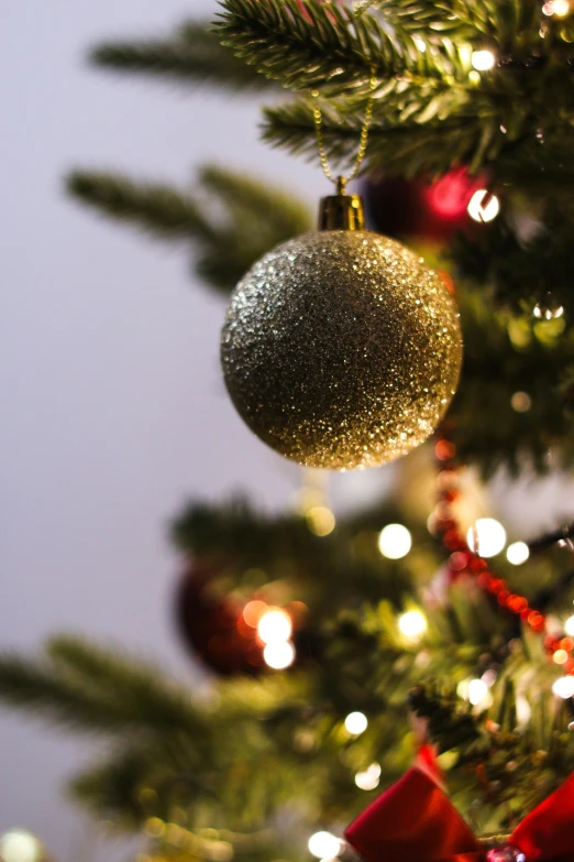 a picture of some christmas decorations in a tree