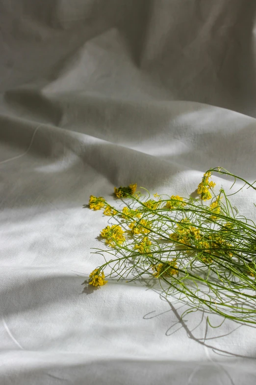 a bunch of yellow flowers on some white fabric