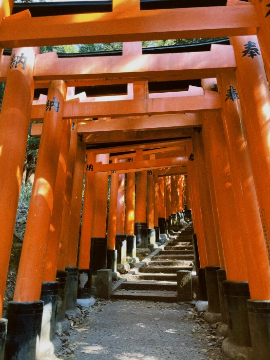 a large orange gate in a forest with many steps