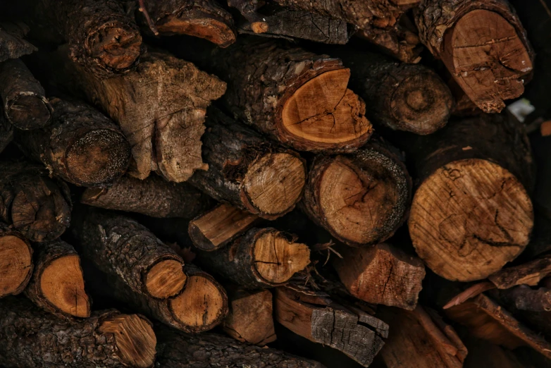 large pile of wood cut logs stacked up