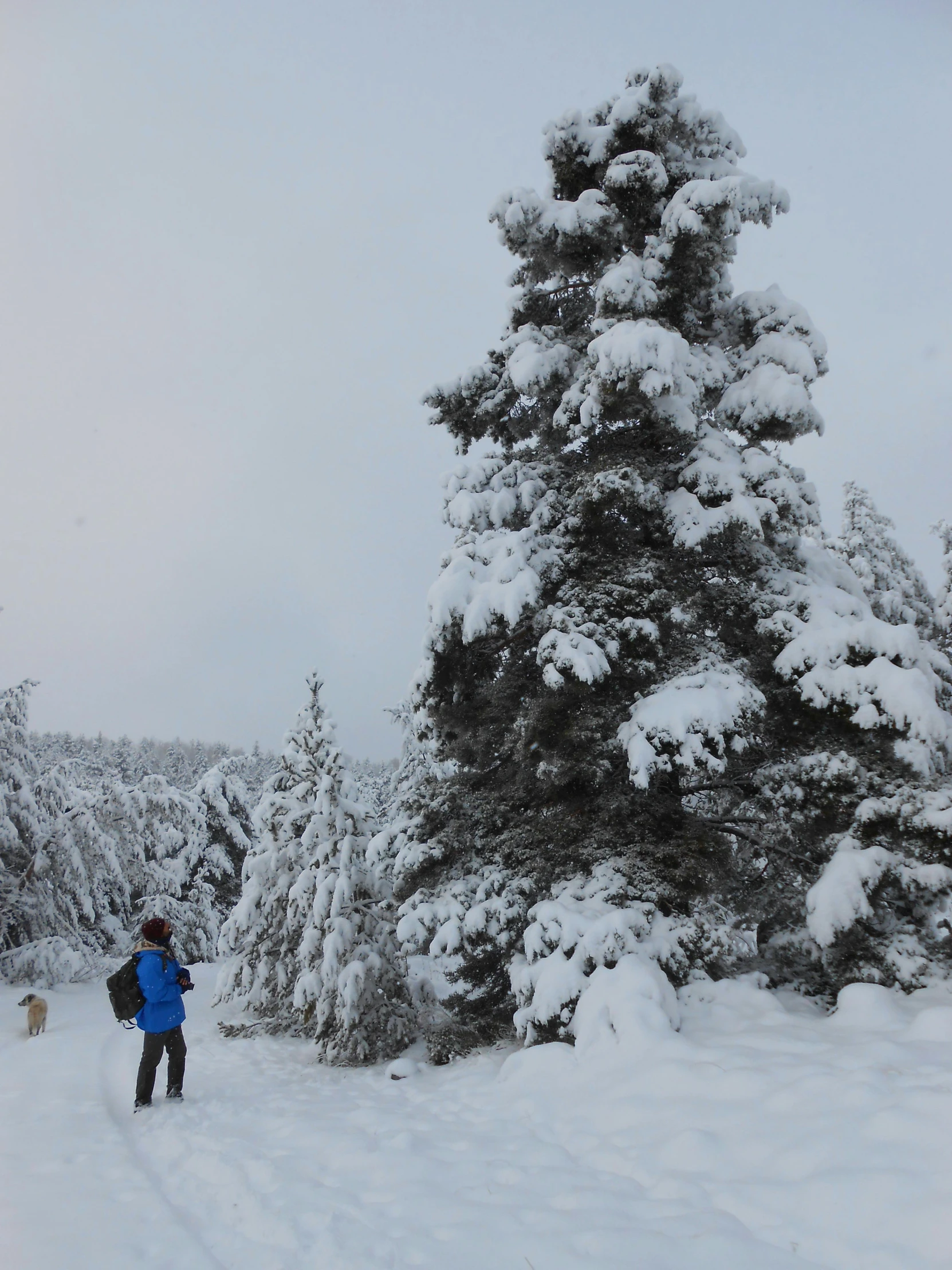 a person riding a snow board on a snowy surface