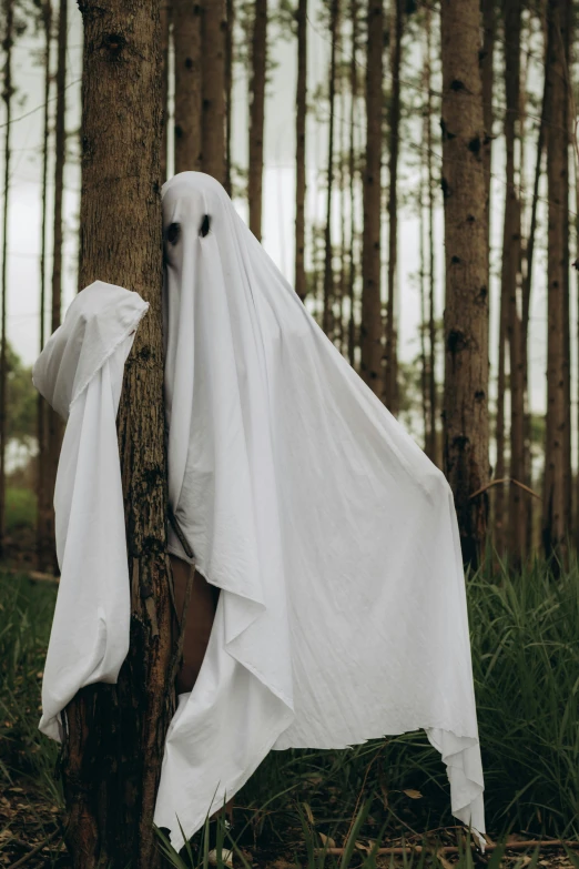 an ghostly ghost hides behind a tree in a forest