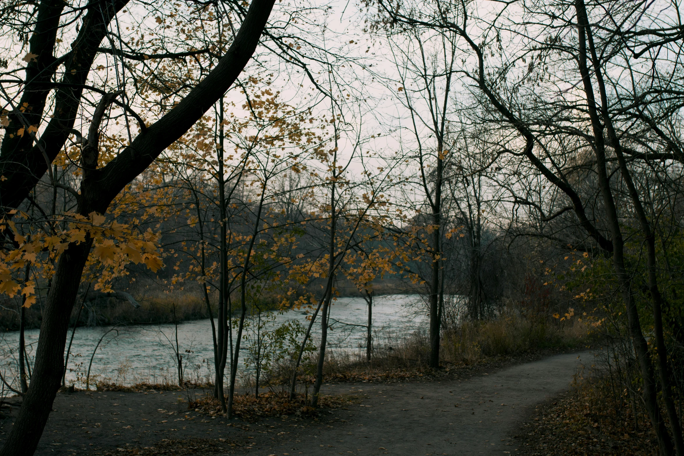 the path is empty by the river bank