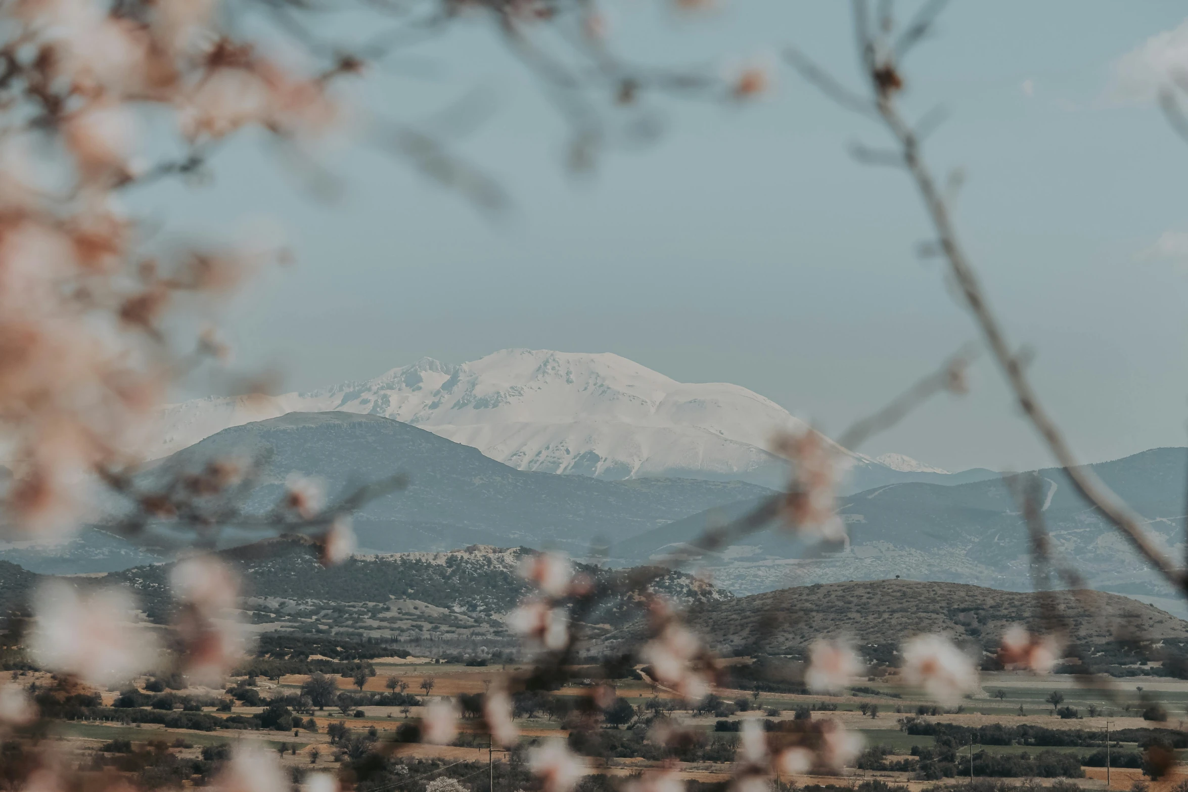 a snow covered mountain rises over an open field