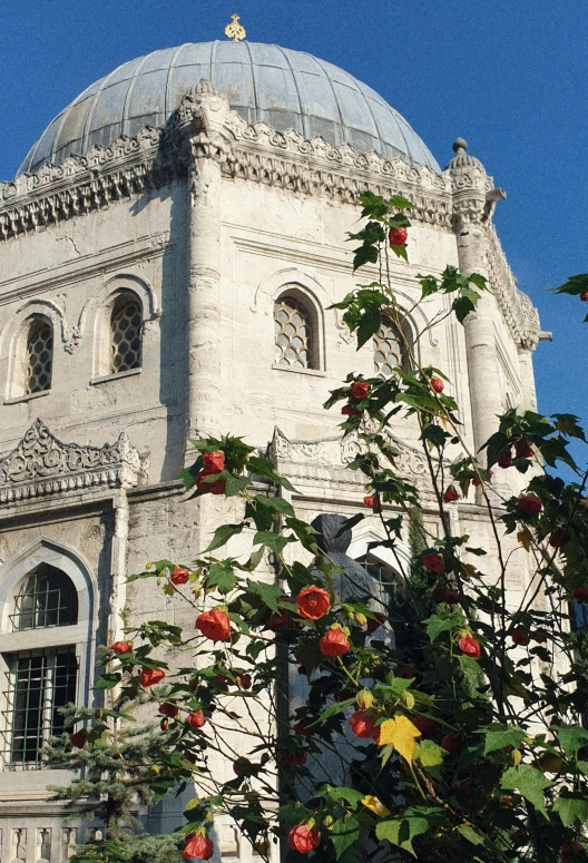 a church building with a white dome and flowers below