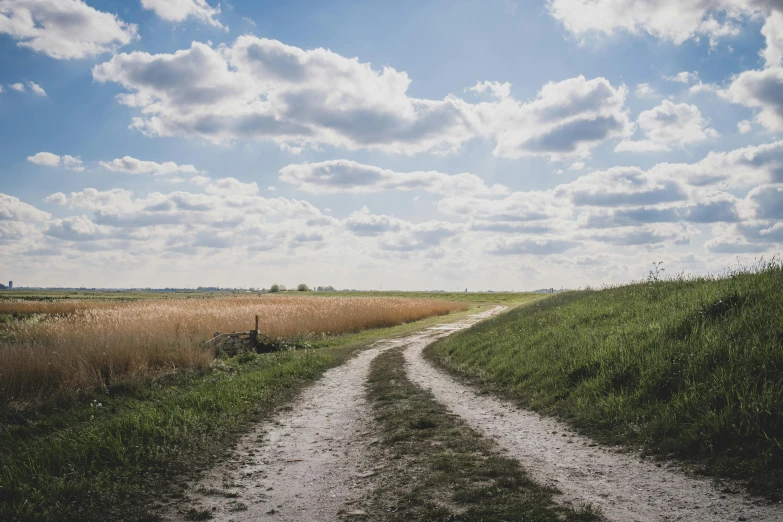 the white line on the dirt road looks as though it is a road or soing