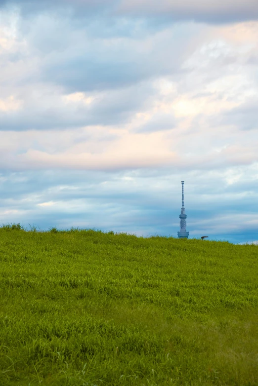 a person standing on a hill holding a kite