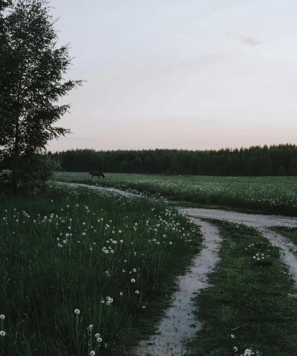 there is an image of an empty road