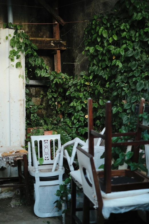 some chairs sit outside a house, next to ivy