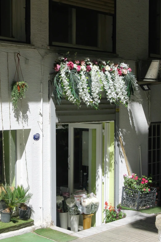 flowers growing inside of an overhanged window on a building