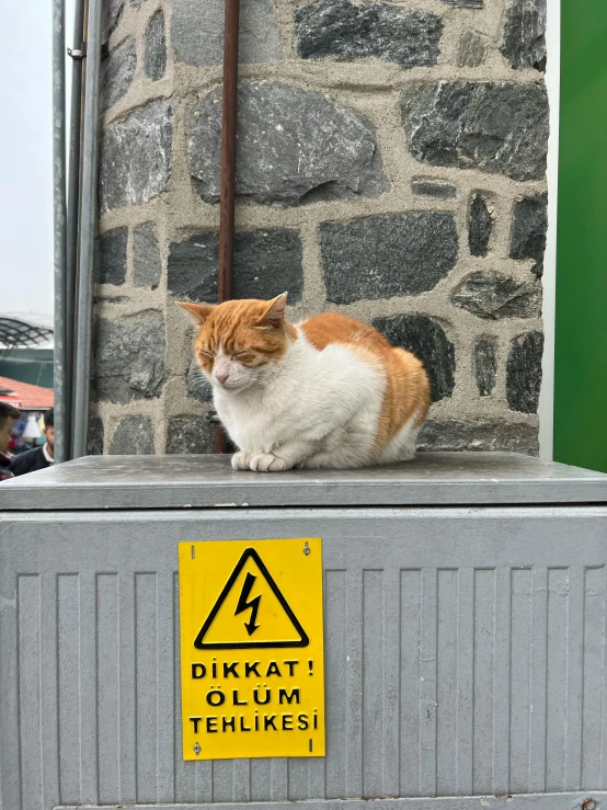 a cat sitting on a ledge with a sign stating it is attentive