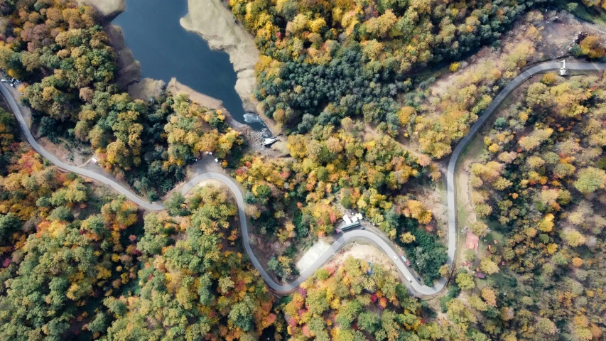 aerial view of winding road surrounded by wooded area