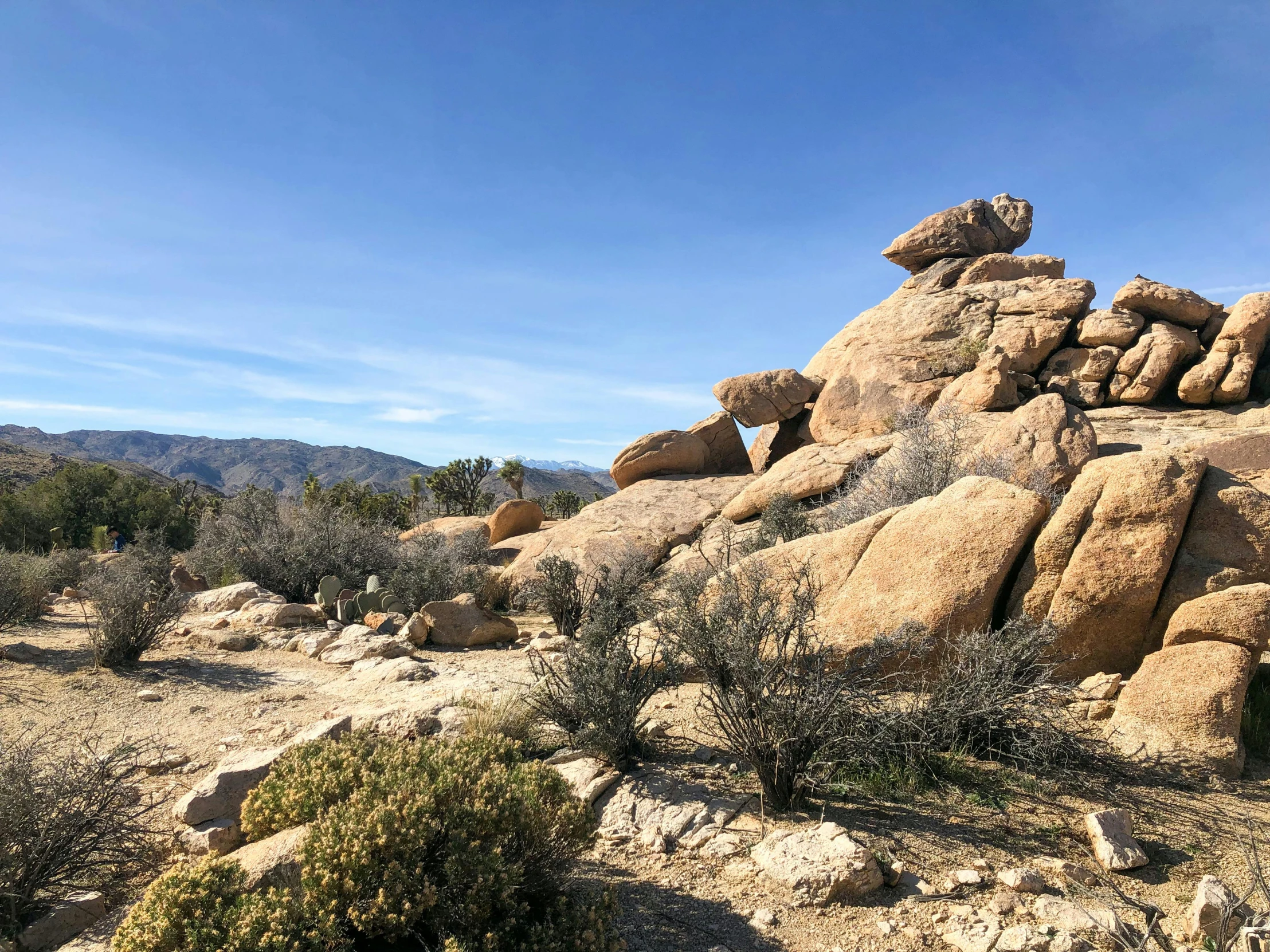 a pile of rocks on a dirt hillside