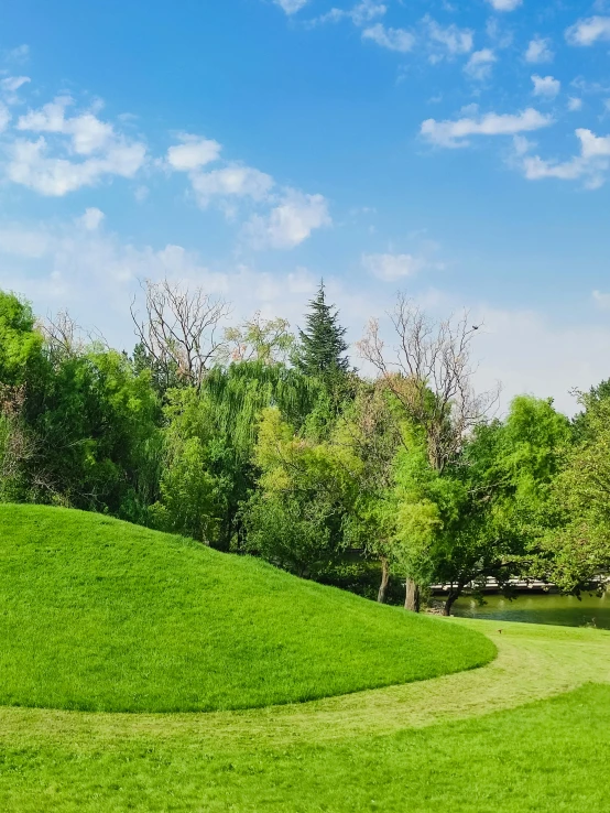 a person standing in a park with green grass