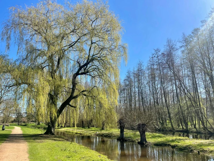 a path is shown next to a small river in a park