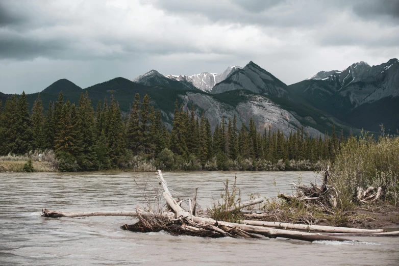 a mountain range covered in trees with a river flowing beneath it