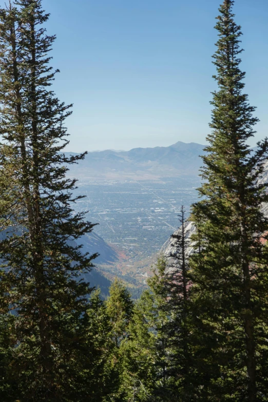 the view out from the mountains in a tree covered area