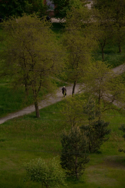 a person that is riding on a bike