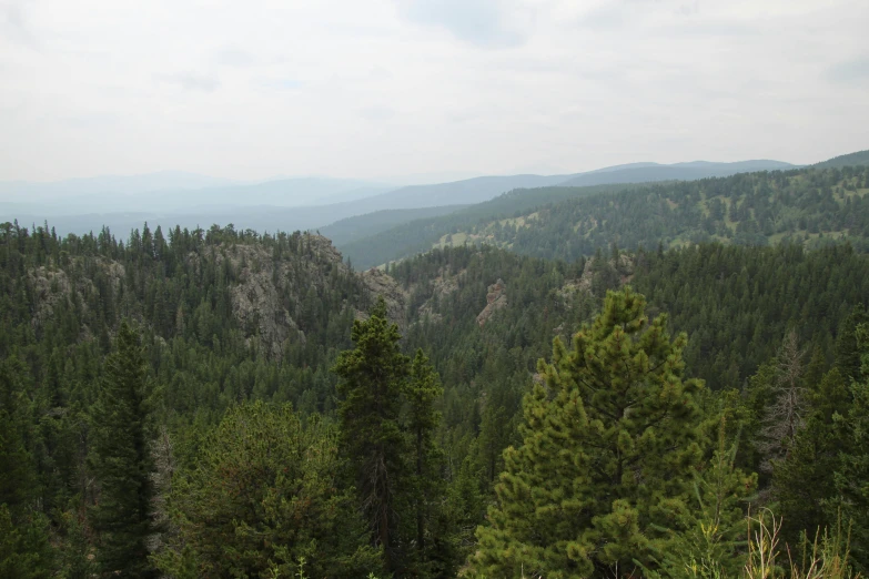 a large mountain range covered with lots of trees