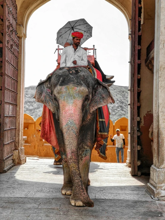 two men sitting on an elephant, one with umbrella over its head