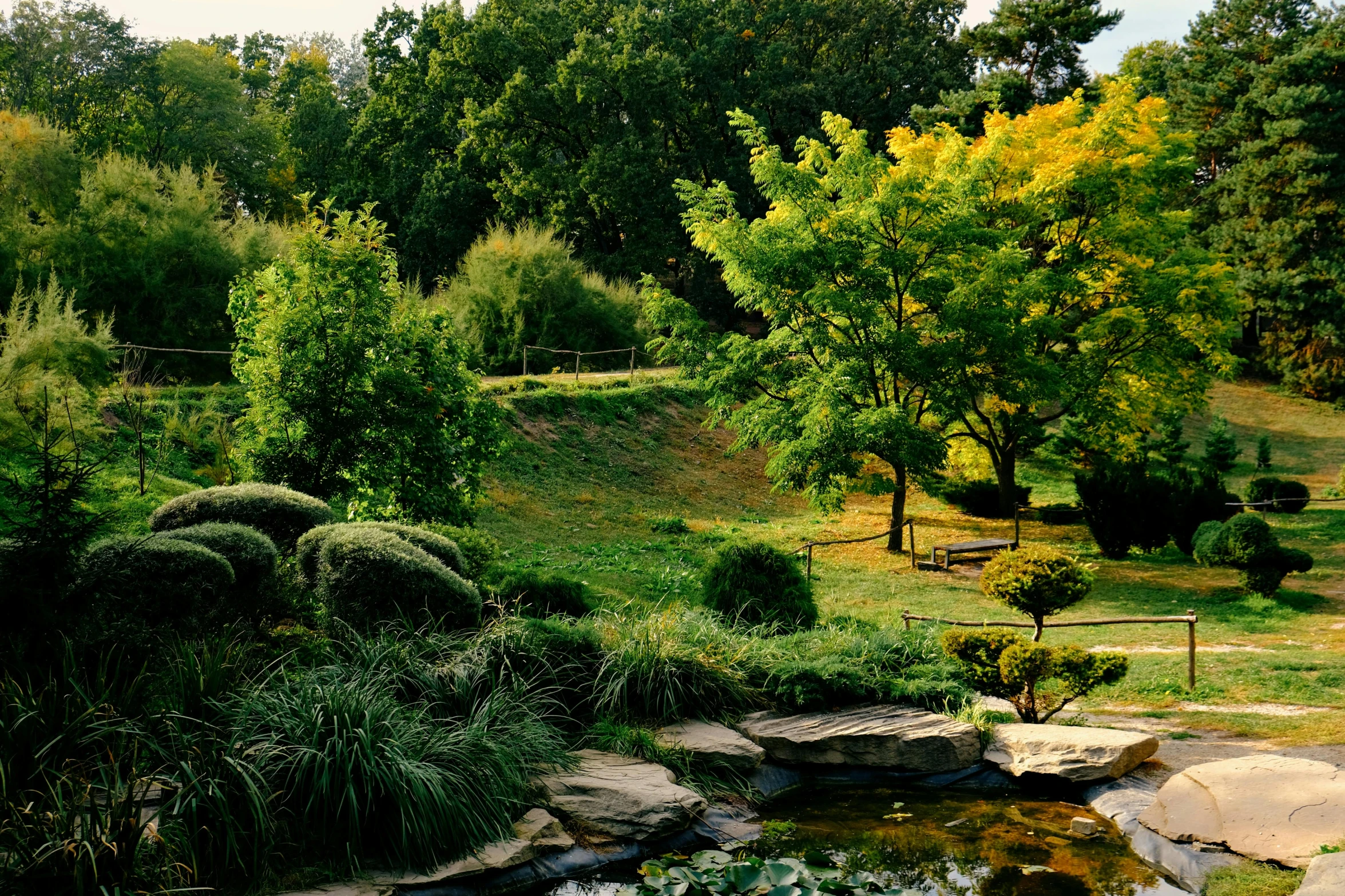 a pond surrounded by trees in the middle of a park