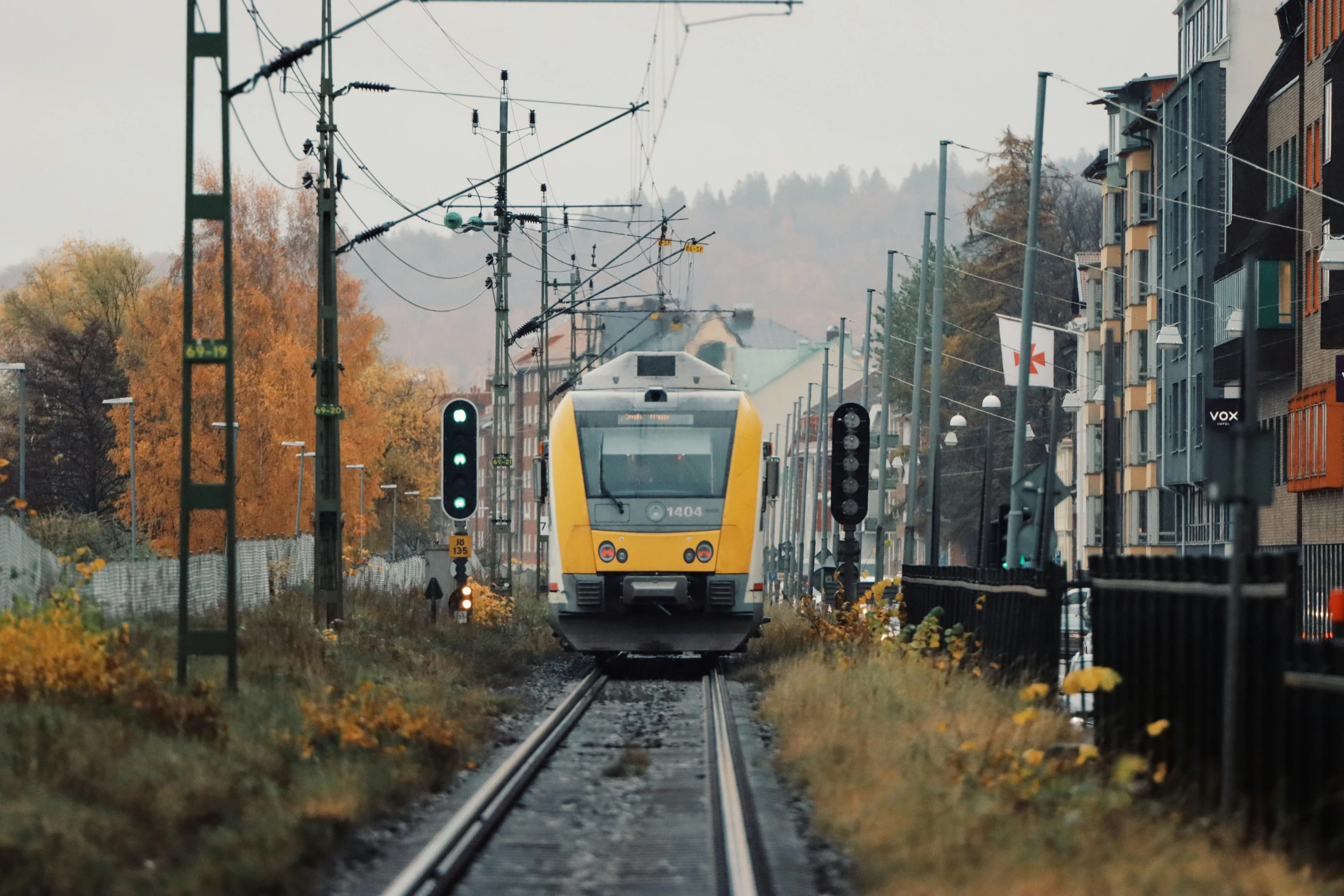 a train going by some houses in the middle of the woods