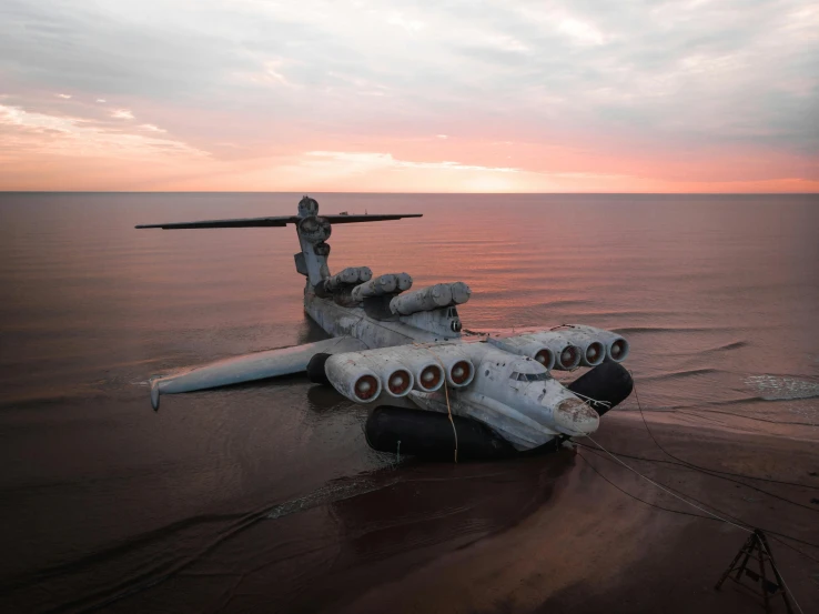 the military airplane has been washed in the water