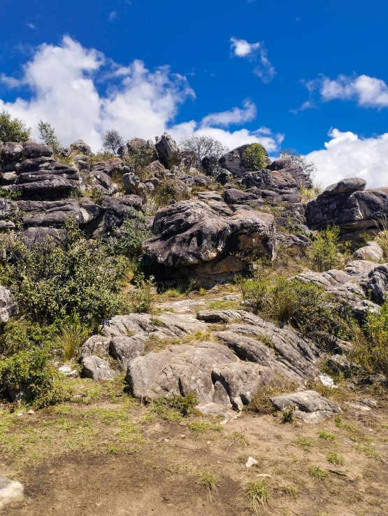 the rocks and vegetation near the road in the mountains