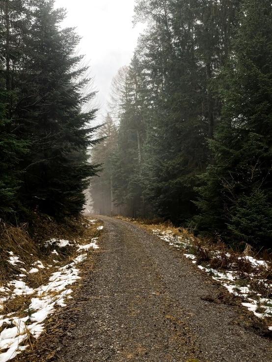 a road in the middle of a forest on a very snowy day