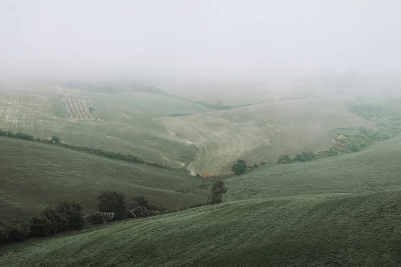 foggy view of the rolling hills on a farm