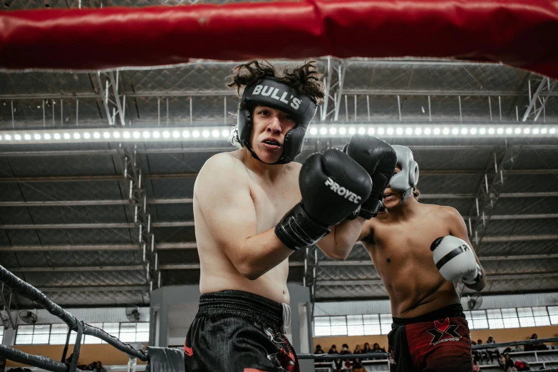 two boxers with gloves and one boxer