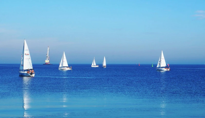 six sailboats in an ocean, sailing with blue skies