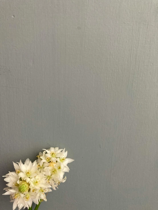 a small glass vase with white flowers in it