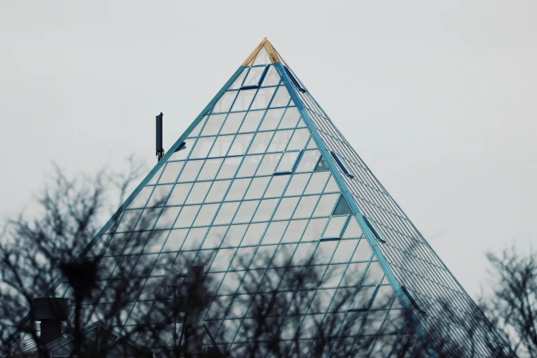 a bird sitting on top of a building, looking up