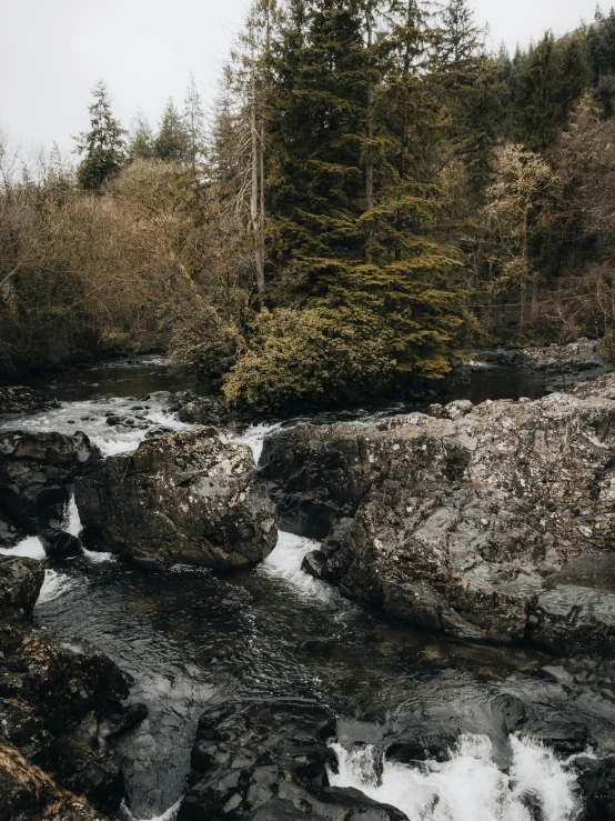 the small stream runs under trees on top of the rocks