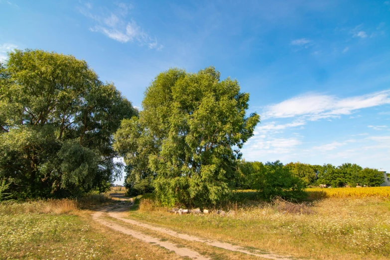 a dirt road on the side of a dirt road