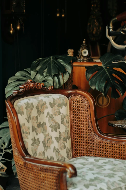 a chair with a green plant sitting on the back