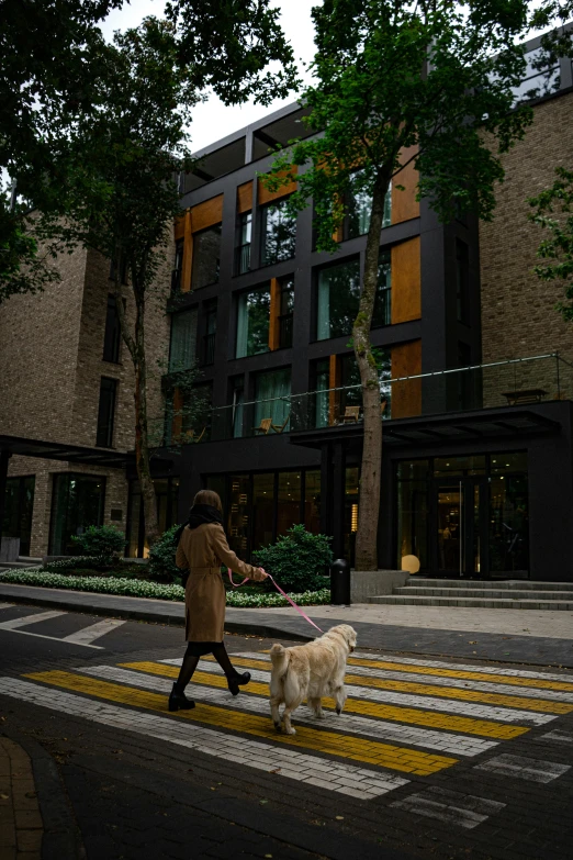 a man walks his dog down the street in front of a building