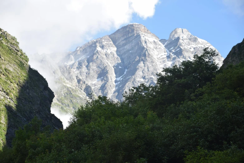 mountains covered with green foliage under a blue sky