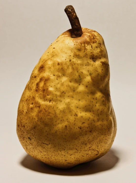 a very big ripe pear that is not in use