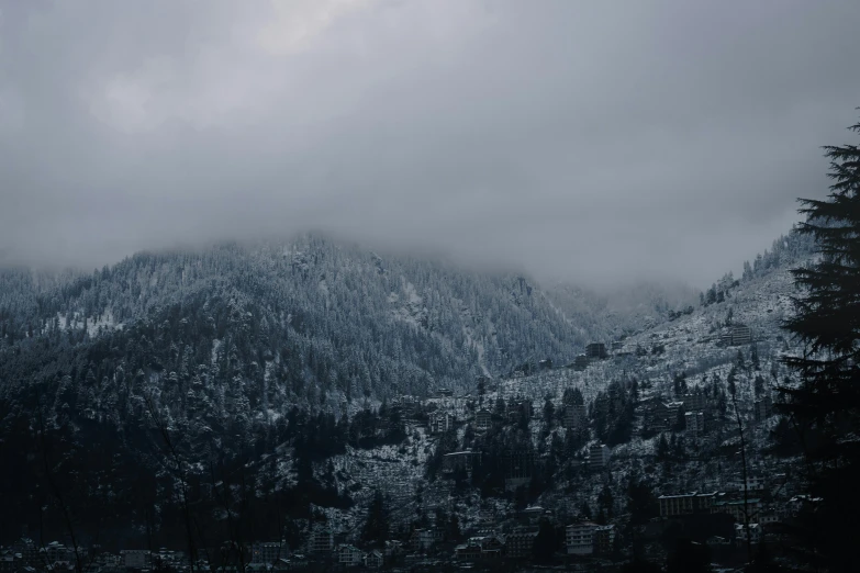 a snowy mountain with lots of trees on it