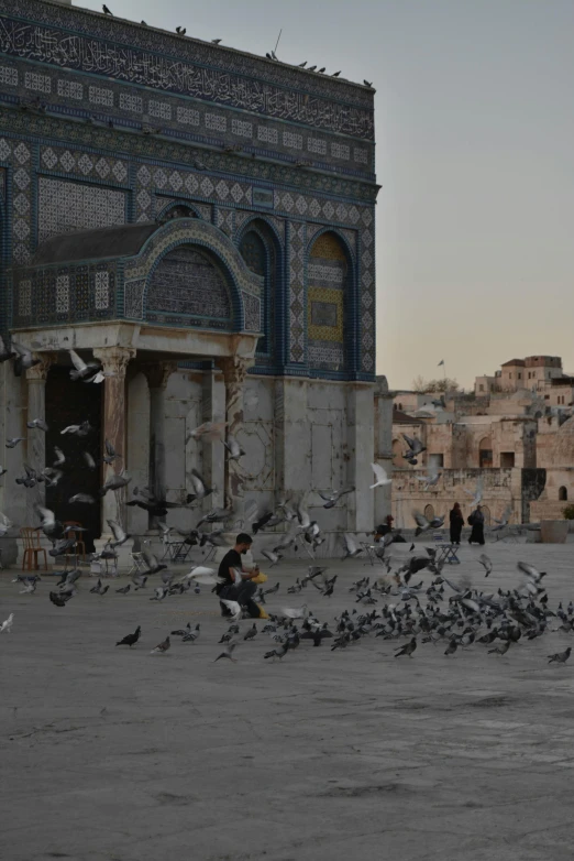 a man surrounded by birds in front of a building