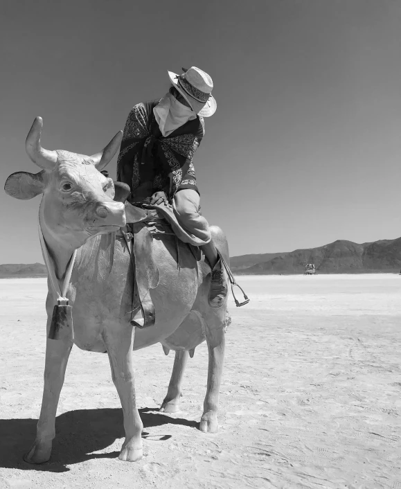 a man on top of a cow on the desert