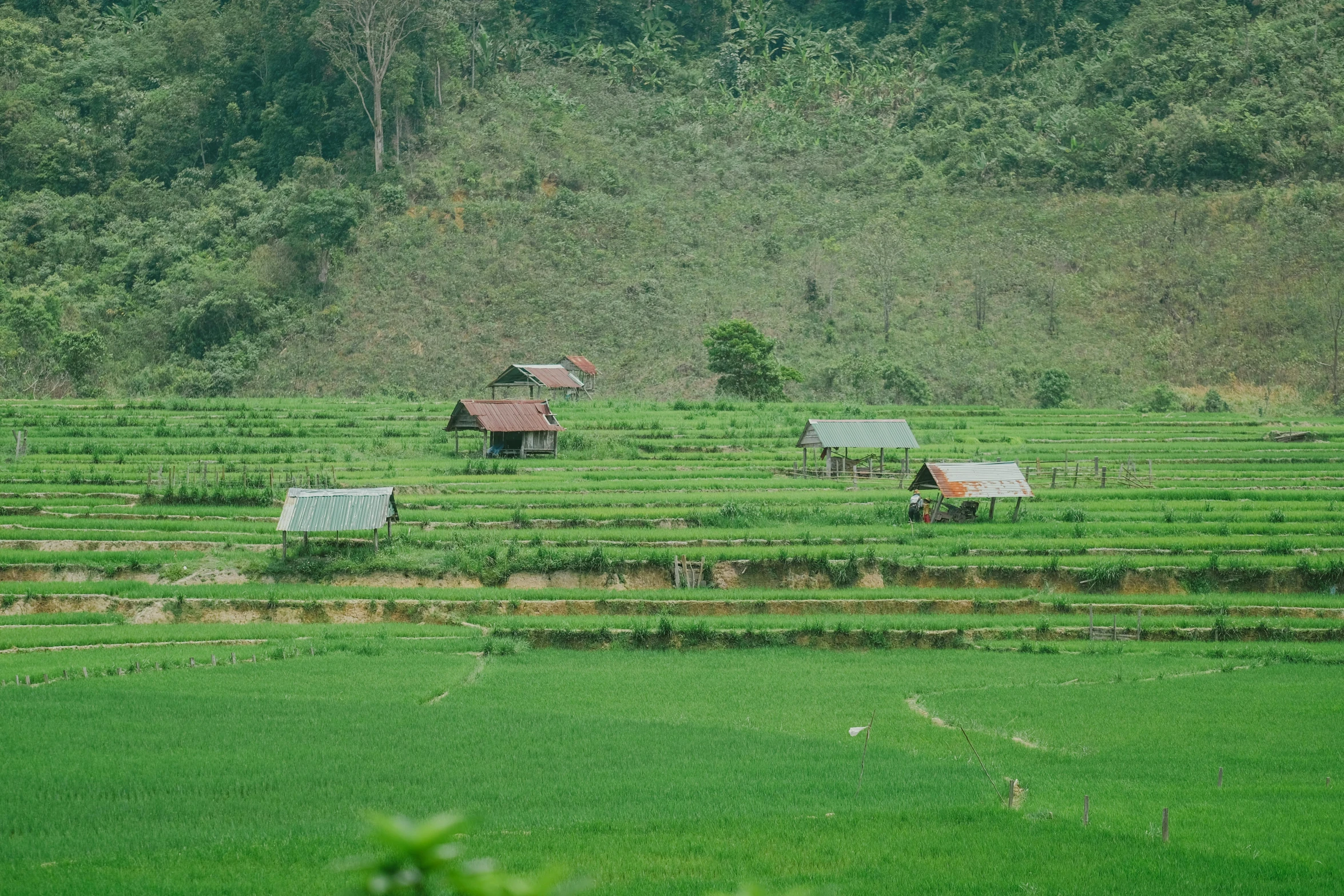 two buildings stand in a green area with trees