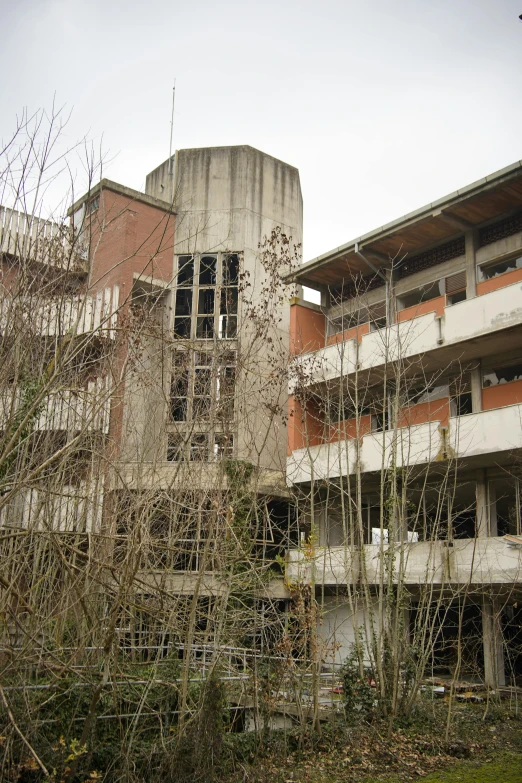 a large building has some bushes in front of it