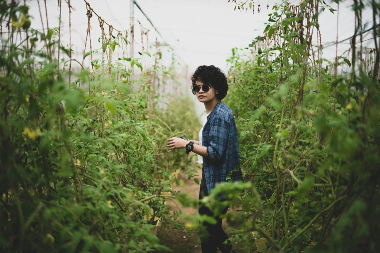 a woman stands in the middle of green plants