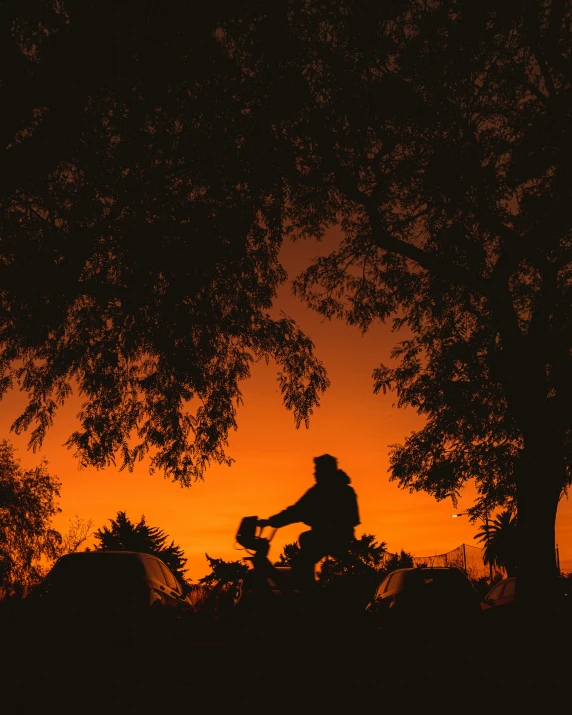 a person on a bike at night under some trees